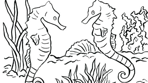 585x329 Seahorse Mandala Coloring Pages Page Free Printable Drawing Board