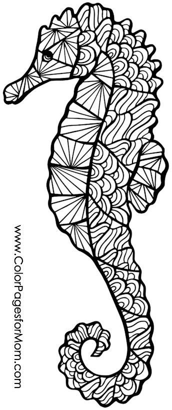 344x820 Seahorse Coloring Page I Love Coloring! Seahorses