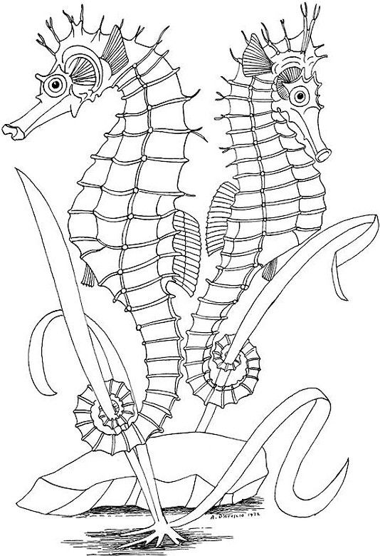 534x780 Click On A Picture To Make It Larger, Then Print It Out And Enjoy
