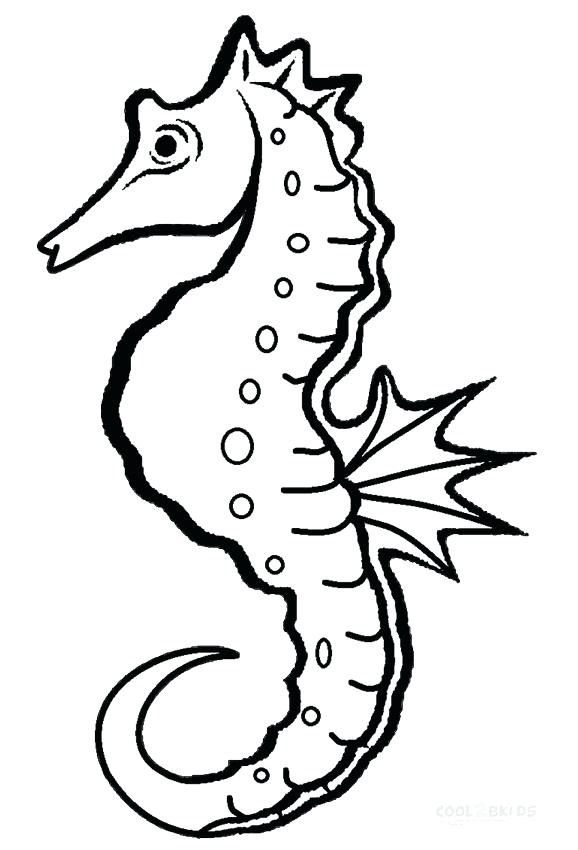 578x850 Seahorse Coloring Pages Printable Seahorse Coloring Pages For Kids