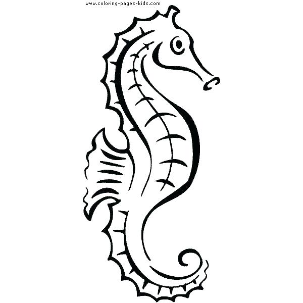 600x600 Seahorse Color Sheet