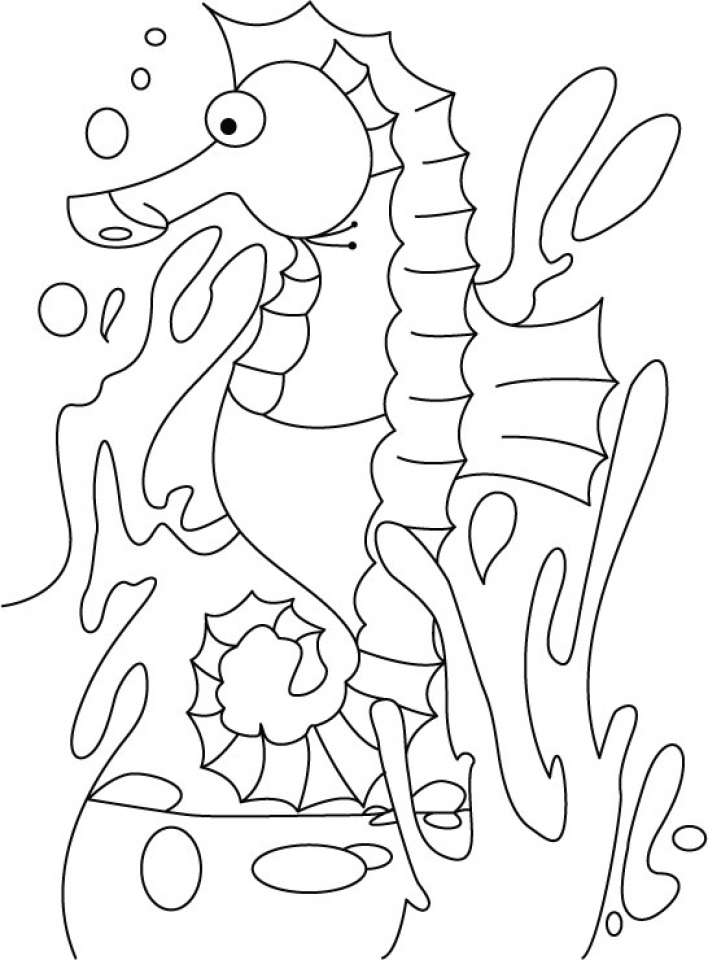 708x960 Get This Seahorse Coloring Pages Free Printable 22398 !