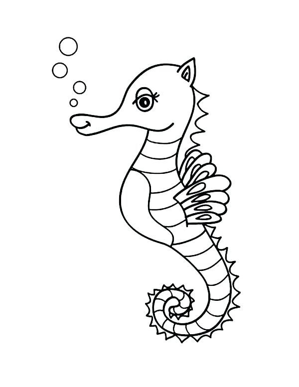 600x777 Seahorse Pictures To Color Seahorse Seahorse Coloring Pictures