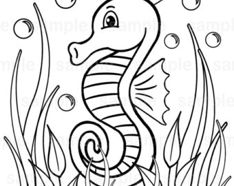 340x270 Seahorse Coloring Etsy
