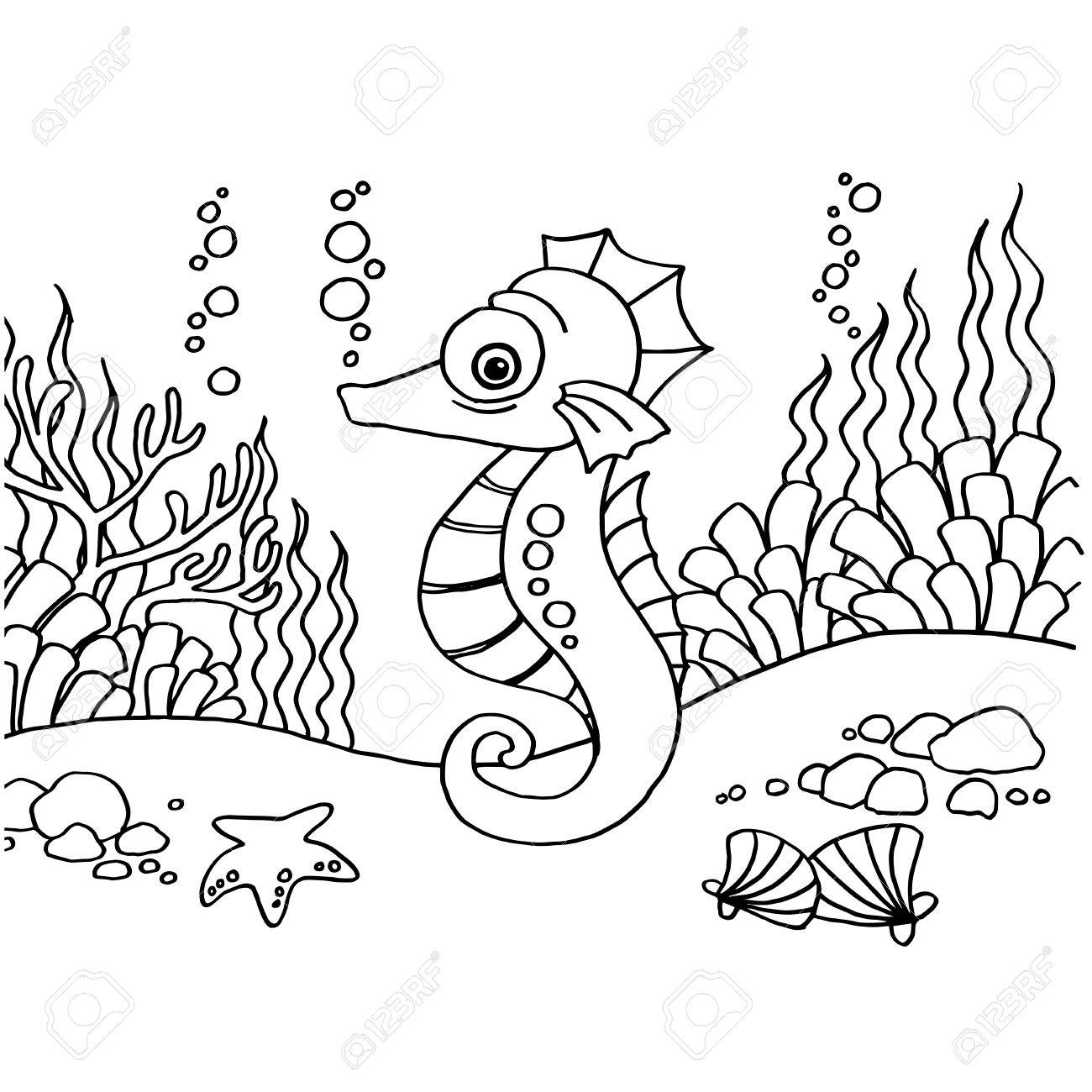 1300x1300 Seahorse Coloring Pages Vector Royalty Free Cliparts Vectors