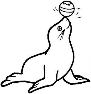291x300 Monk Seal Colouring Pages For Kids
