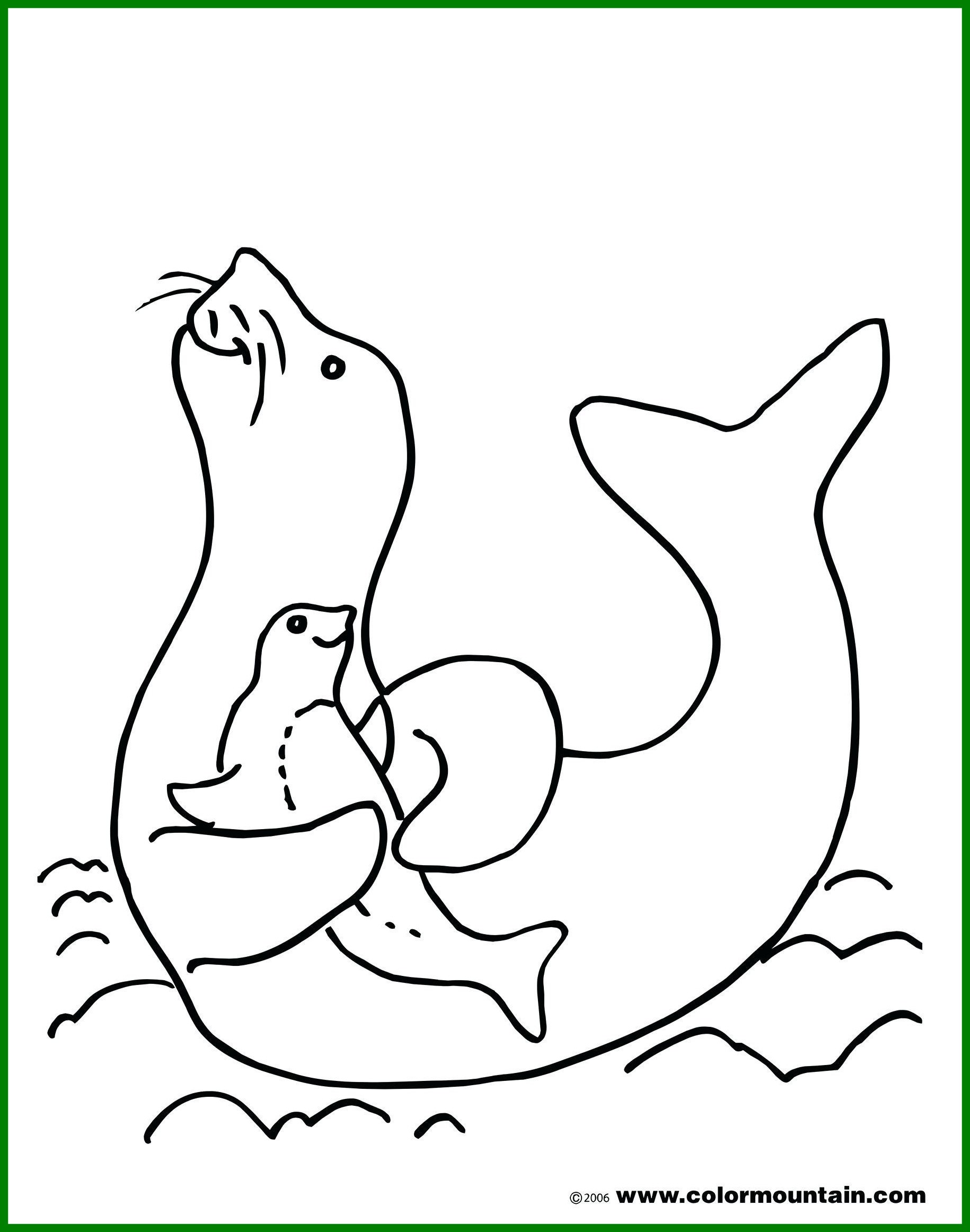1830x2324 Awesome Seal Coloring Page Unique Animals Monk Printable Image