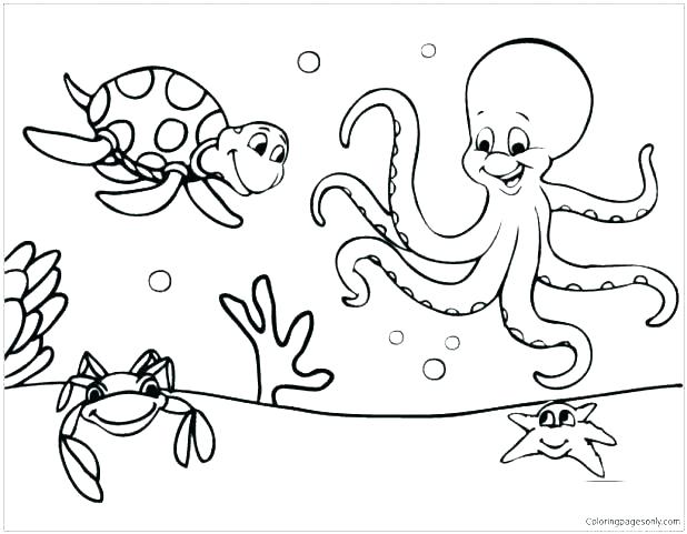 618x481 Marine Coloring Pages Marine Coloring Page Marine Coloring Pages
