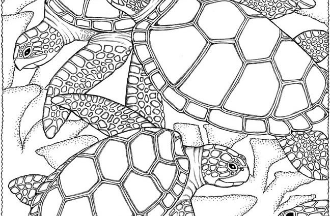 650x425 Seascape Coloring Pages Welcome To Dover Publications Download