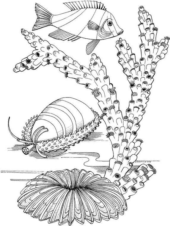 572x760 Free Seascape Coloring Pages