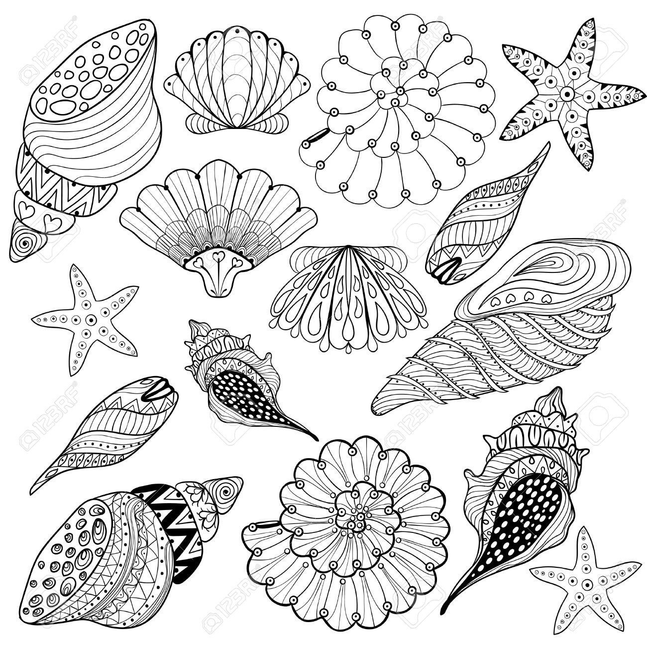 Seashell Coloring Page