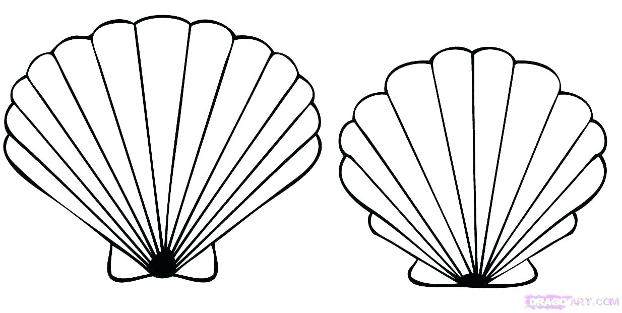 1234x621 Printable Seashell Coloring Pages Coloring Me Seashell Coloring