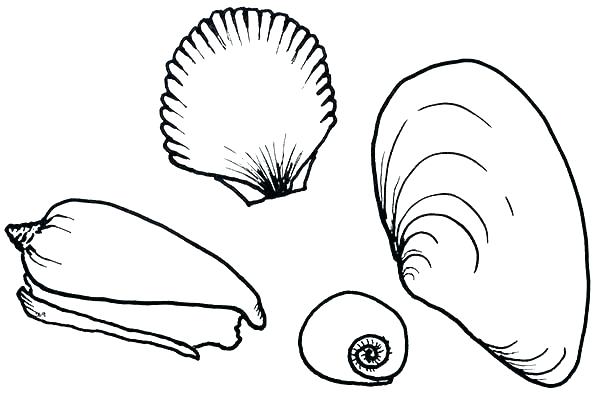 600x409 Sea Shells Coloring Pages Shell Free Printable Seashell Coloring