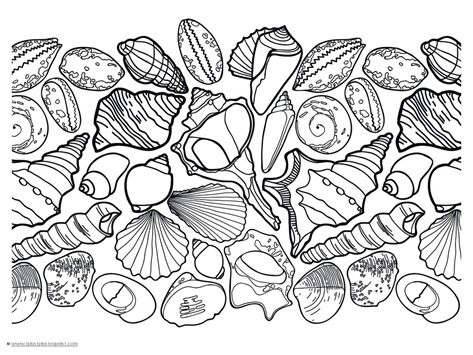 473x355 25 Seashell Coloring Page Pictures Free Coloring Pages