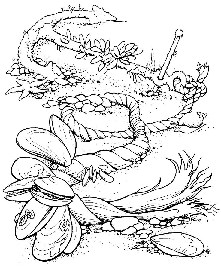 736x898 555 Best Beach Coloring Pages Images On Coloring Books
