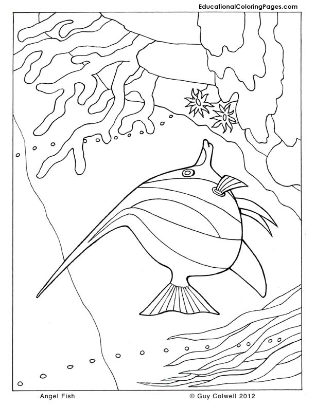 612x792 Sea And Seashore Book Two Animal Coloring Pages For Kids