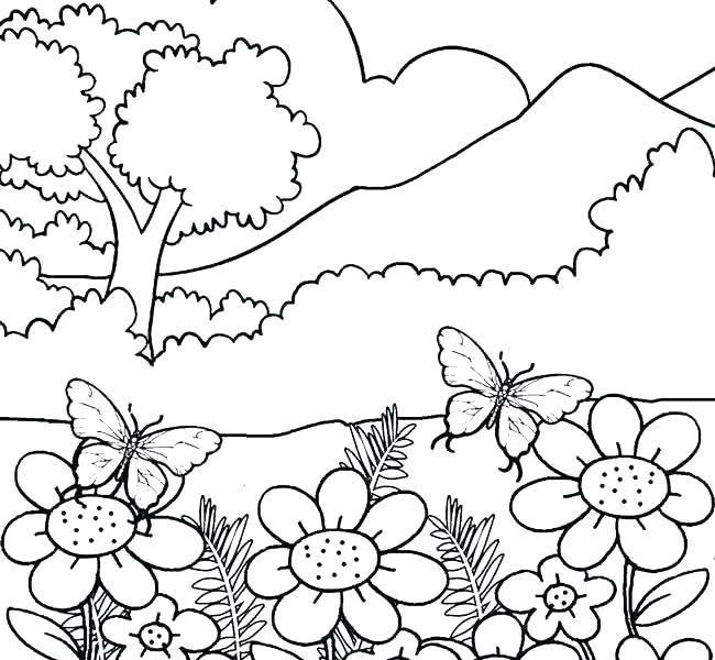 650x600 Adult Nature Coloring Sheets Coloring Pages For Adults Nature