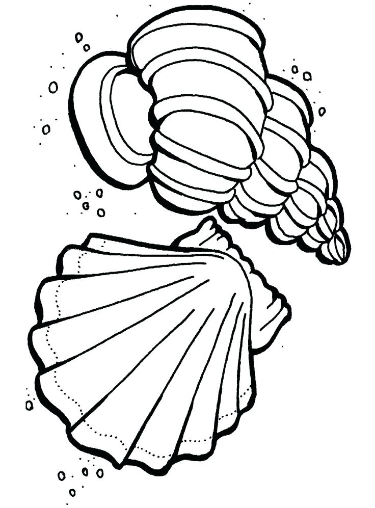 736x997 Seashore Life Coloring Book And Welcome To Publications Creative