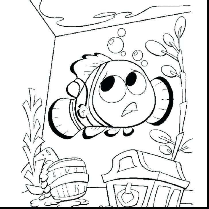 728x728 Seattle Seahawk Coloring Pages Download A Free 3 Page Super Bowl