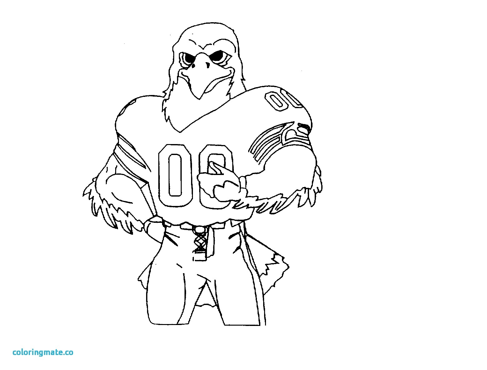 1560x1184 Seattle Seahawks Logo Coloring Page Free Printable Pages