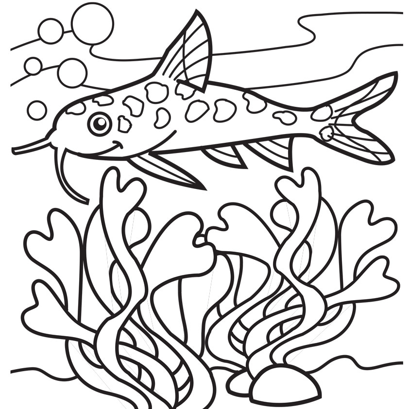 842x842 Seaweed Coloring Pages