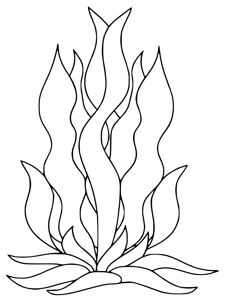 900x1200 Seaweed Coloring Pages
