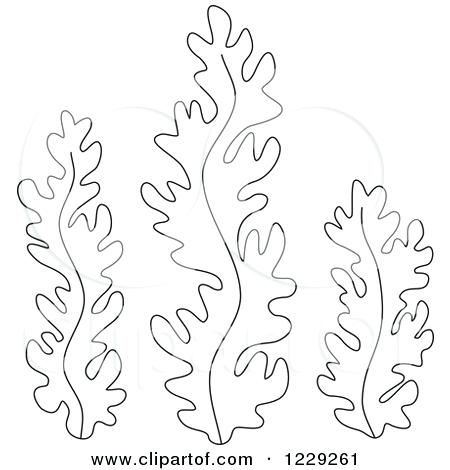 450x470 Seaweed Coloring Pages Adult Marvelous Ocean Plants Coloring Pages