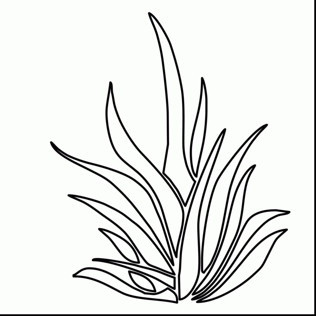 1024x1024 Seaweed Coloring Pages Bltidm At Learnfree Me Get Bubbles