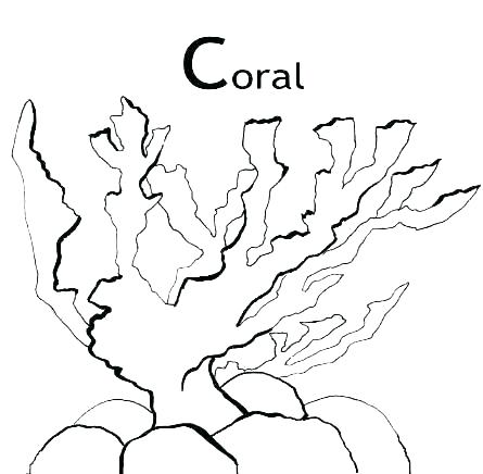 445x436 Coral Coloring Pages Seaweed Coloring Pages Best Of Coral Coloring