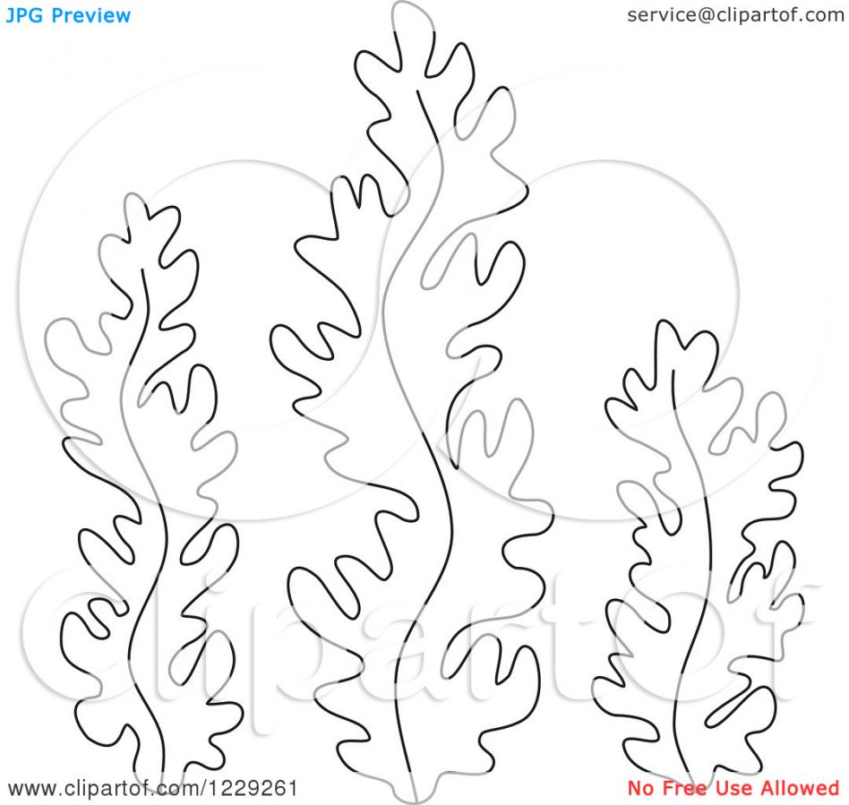948x899 Seaweed Coloring Pages Mayapurjacouture Com Large Size Of