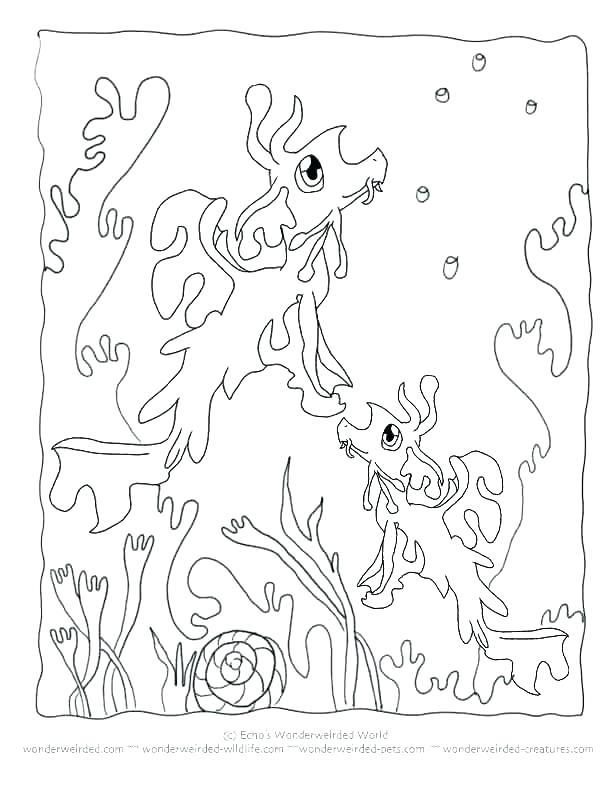 612x792 Seaweed Coloring Pages Seaweed Coloring Pages Free Printable Ocean