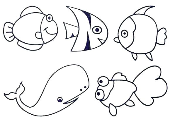 580x424 Seaweed Coloring Pages Seaweed Coloring Pages Popular Fish