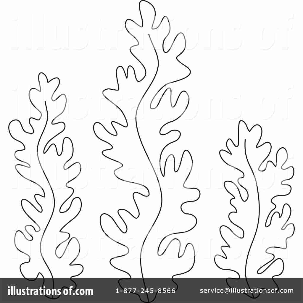 1024x1024 Seaweed Coloring Pages To Download And Print For Free Stunning