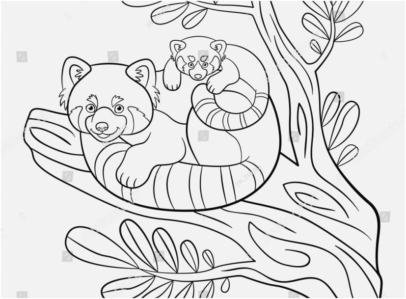 827x609 Jesus Storybook Bible Coloring Pages Collection Shocking Hot Air