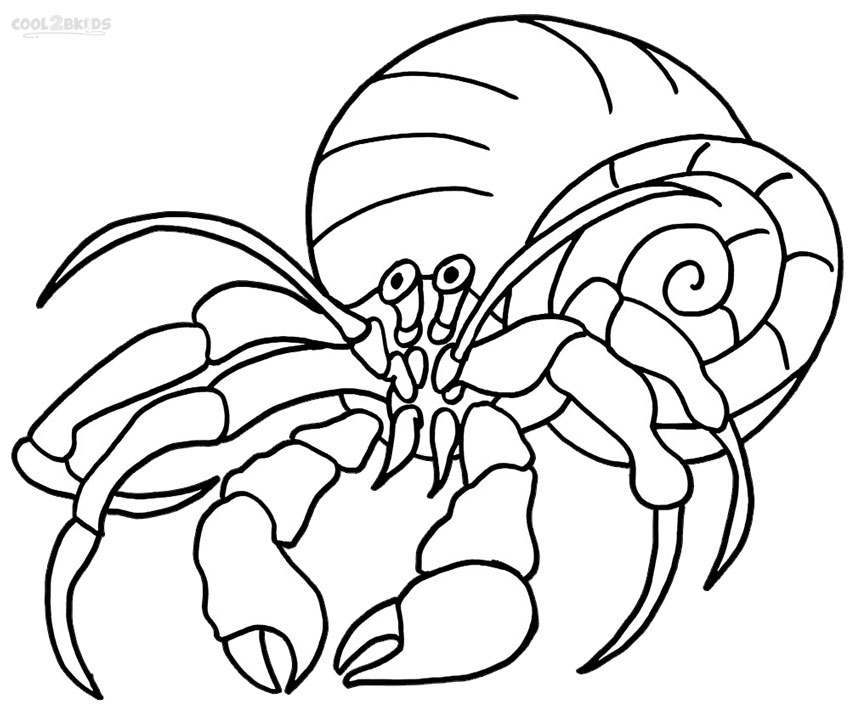 850x719 Beauteous Hermit Crab Coloring Page Printable Photos Of Tiny
