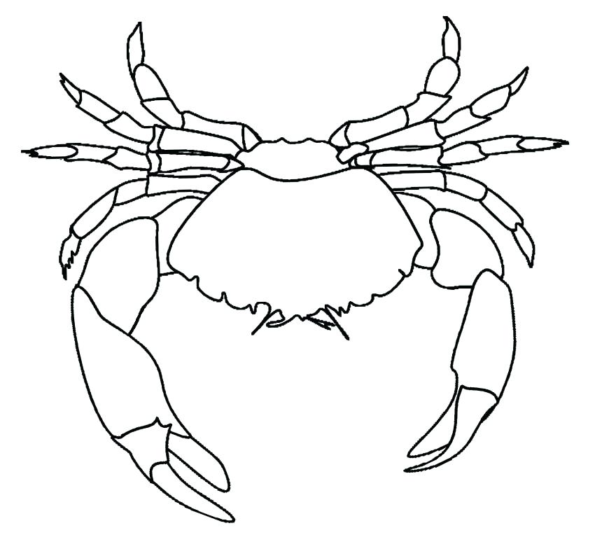 850x764 Sebastian Coloring Pages Crab Coloring Page Ariel And Sebastian