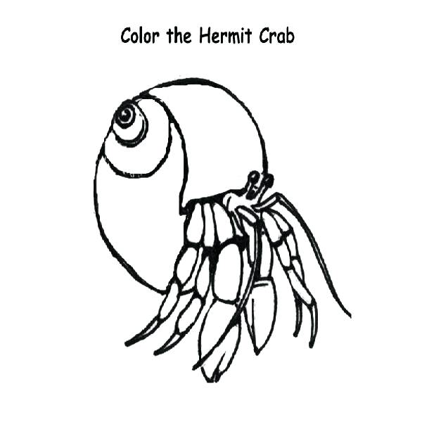 600x600 Black Butler Sebastian Coloring Pages The Little Mermaid Book