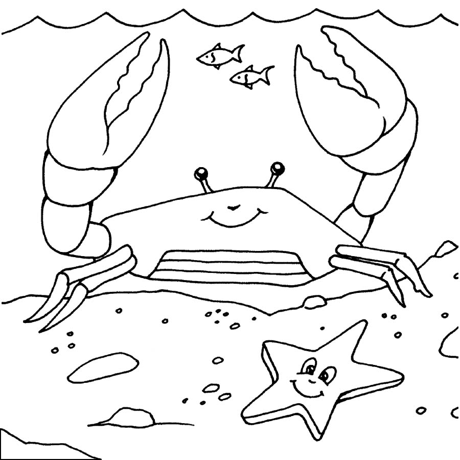 900x900 Crab Coloring Pages Amazing