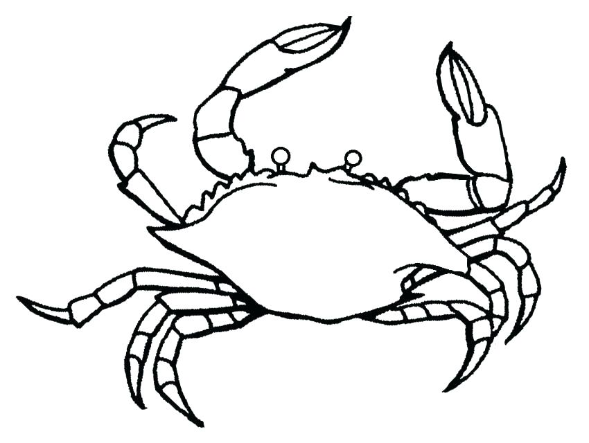 850x640 Sebastian Coloring Pages