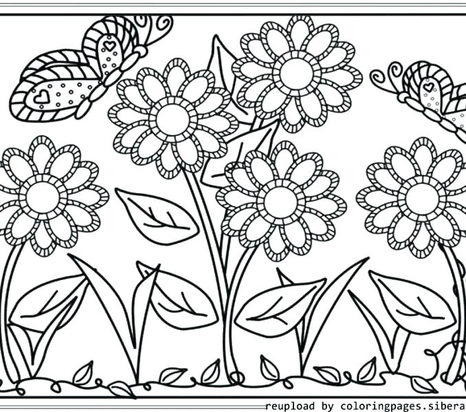 678x600 Garden Coloring Page Classy Idea Gardening Coloring Pages Flower
