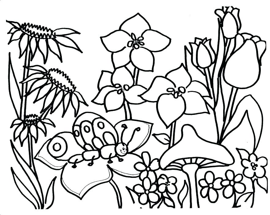 882x700 Garden Coloring Pages Garden Coloring Pages Picture Garden