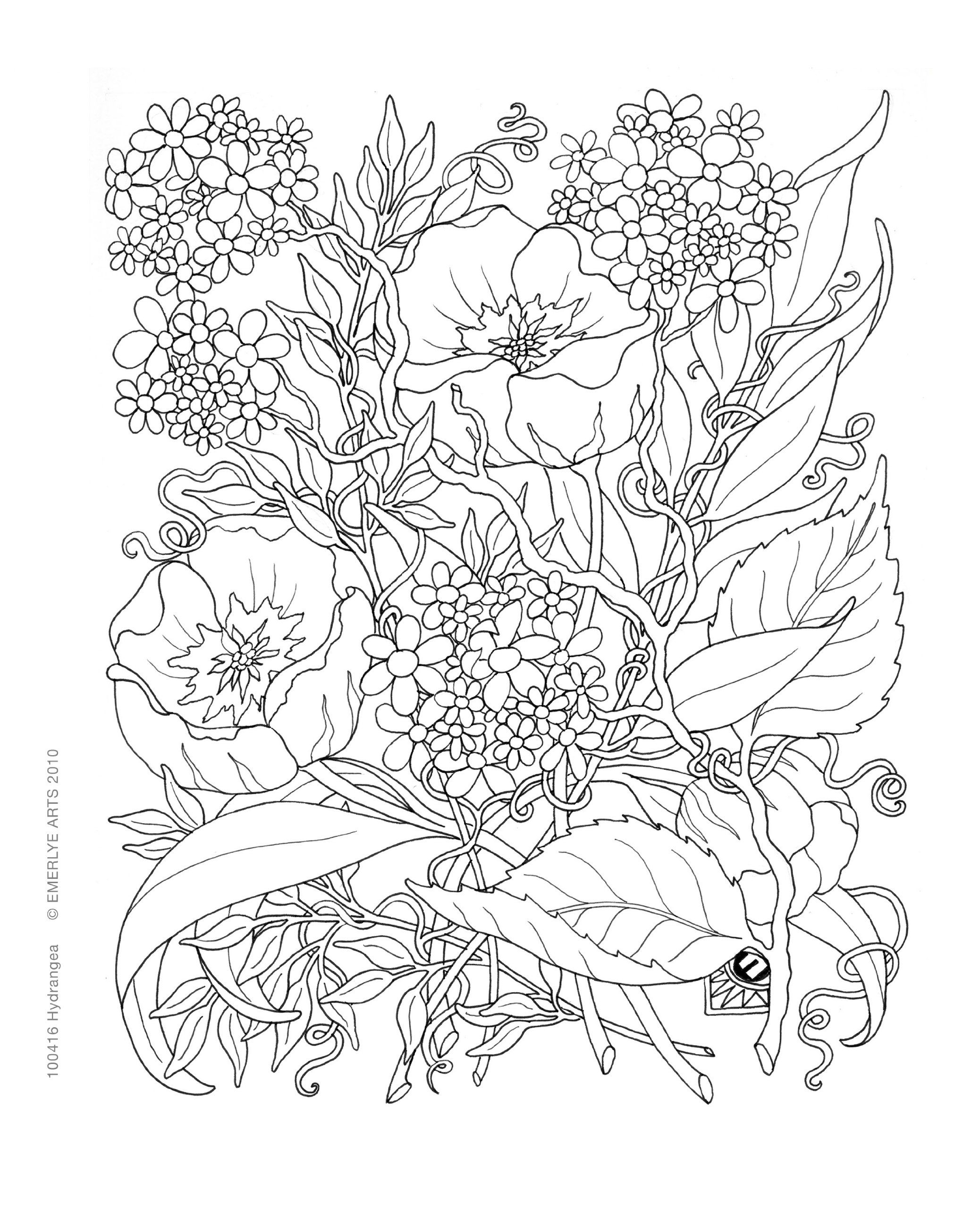 2076x2560 Inspirational Coloring Pages From Secret Garden, Enchanted Forest
