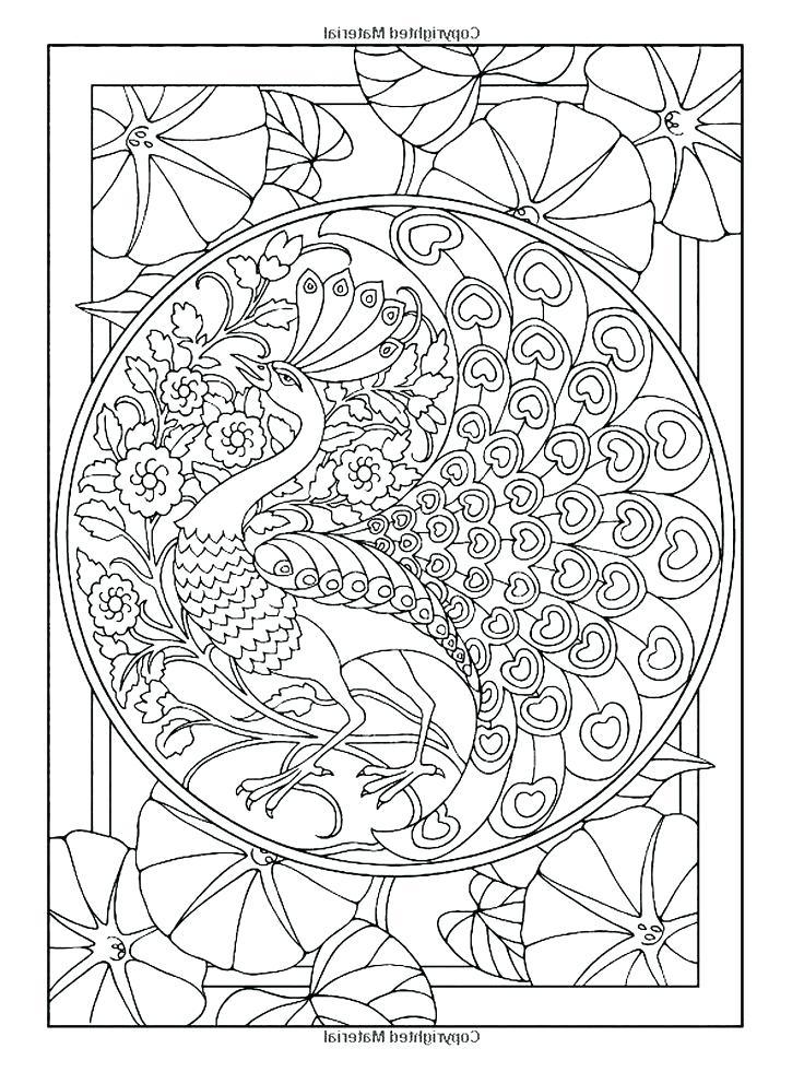 736x981 Secret Garden Coloring Book Color Pages Colorful Coloring Pages