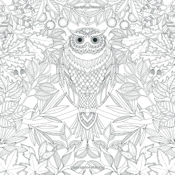 600x600 Secret Garden Coloring Book Pages Enchanted Forest Spread Secret