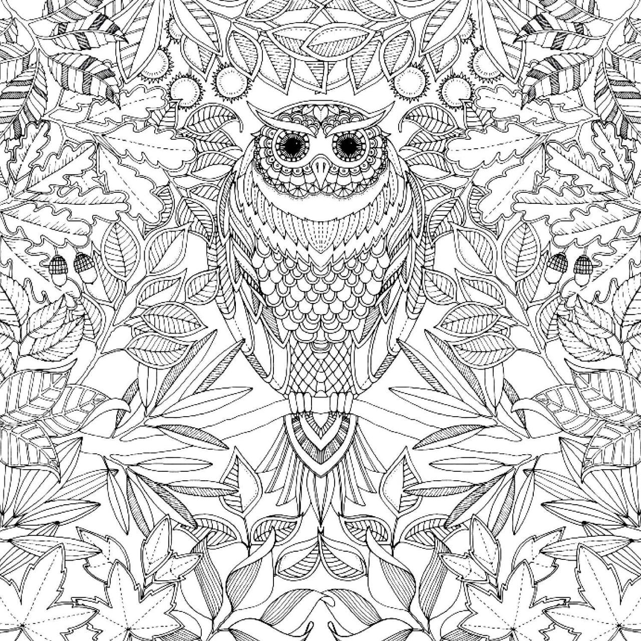 1280x1280 Secret Garden Johanna Basford Coloring Book Coloring Page For Kids