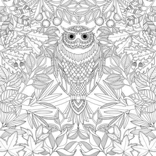500x500 By Scottish Artist Johanna Basford In Her Secret Garden Coloring