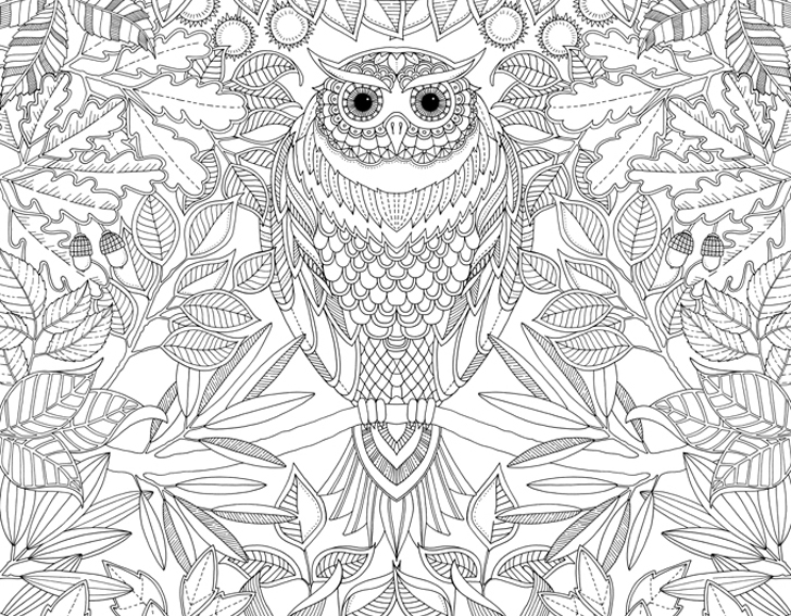 728x567 Coloring Book Adult Unleash Your Inner Child With Johanna Basfords