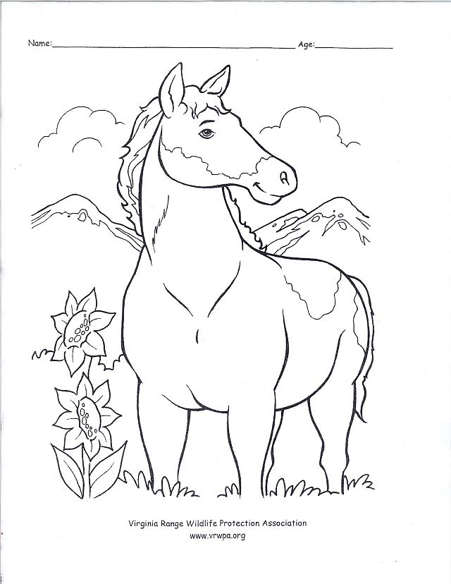 640x828 Secretariat Horse Coloring Pages