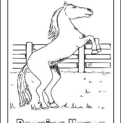 415x425 Secretariat Coloring Pages Coloring Pictures Of Horses Ideas
