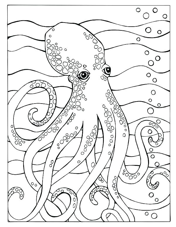 600x776 Ocean Scene Coloring Page Ocean Coloring Pages Ocean Color Pages
